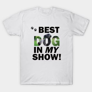 Best Dog In My Show - black labrador oil painting word art T-Shirt